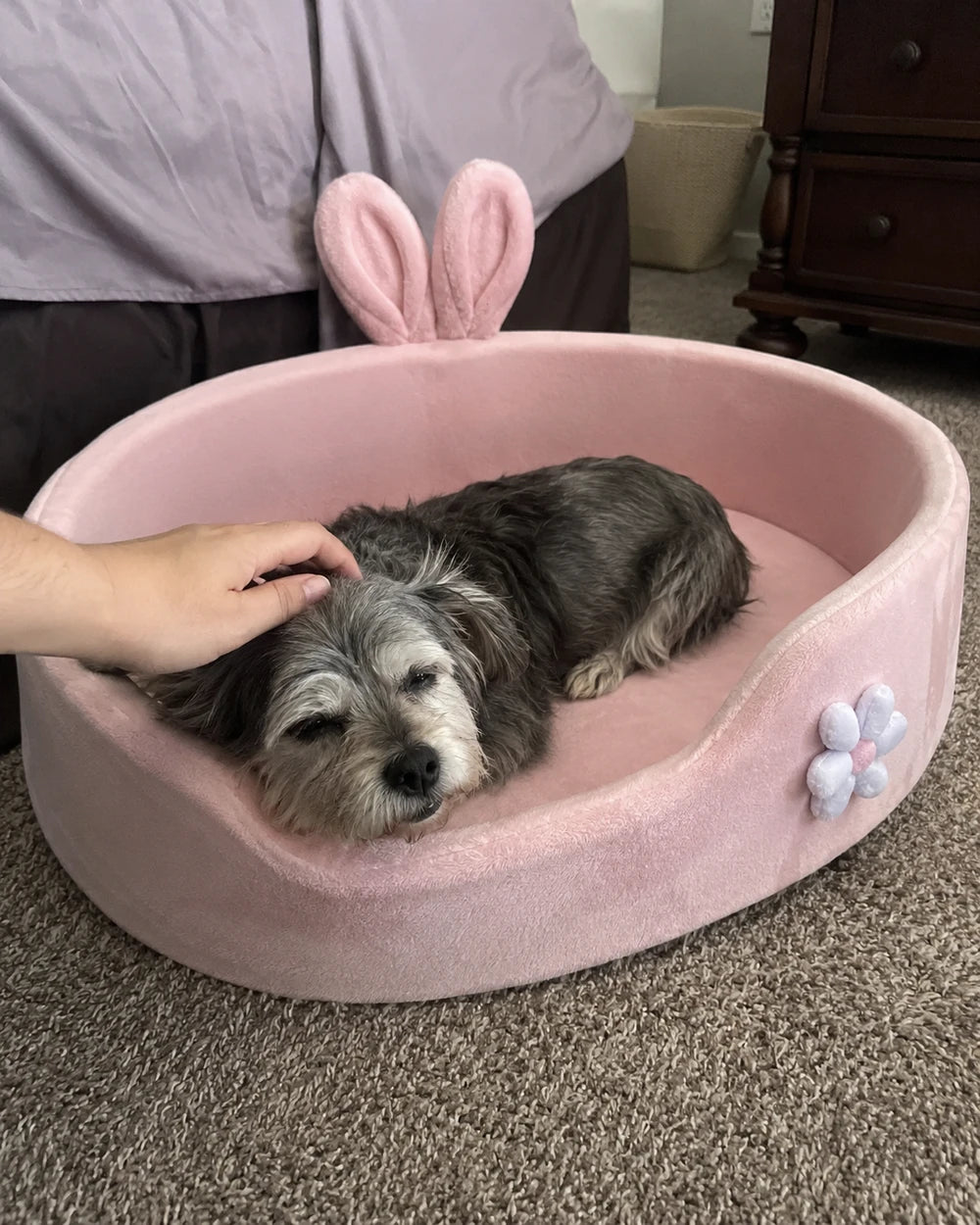 SnugDen Calming Dog Bed